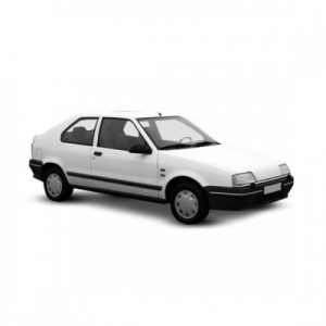 RENAULT 19, 01.89 - 05.92